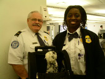 Boo Boo Through Security Airport To LA