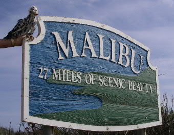 Boo Boo at Malibu