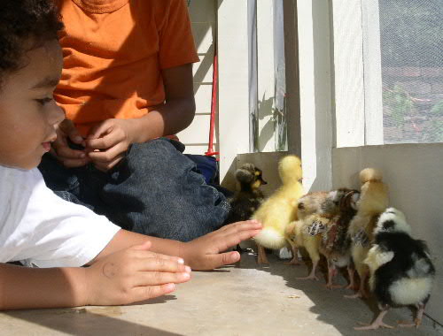 What it is all about